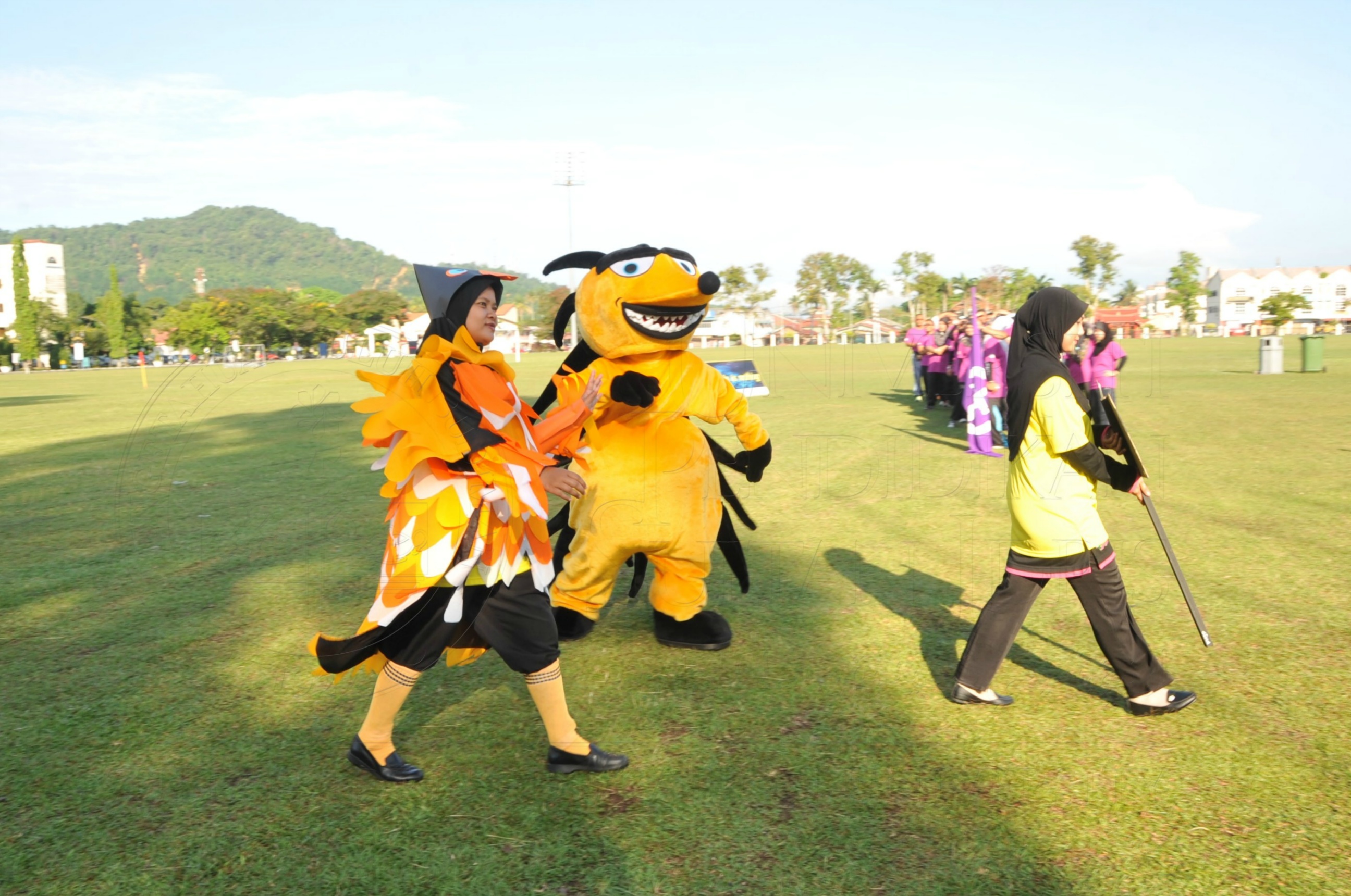 PRO 15 53 KIESTA HAS 3545